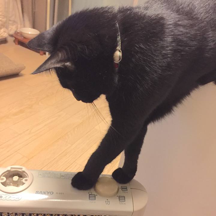 4e92c254 7569 42af be7a d315893656b5