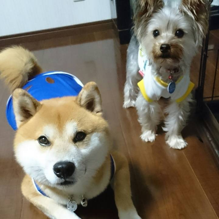 4e92ef02 63ee 433f adb0 26e356400b6e