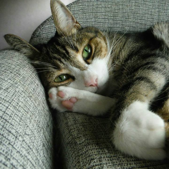 4e9410a0 3ab3 465a a6ba 15fb4dd65fd2