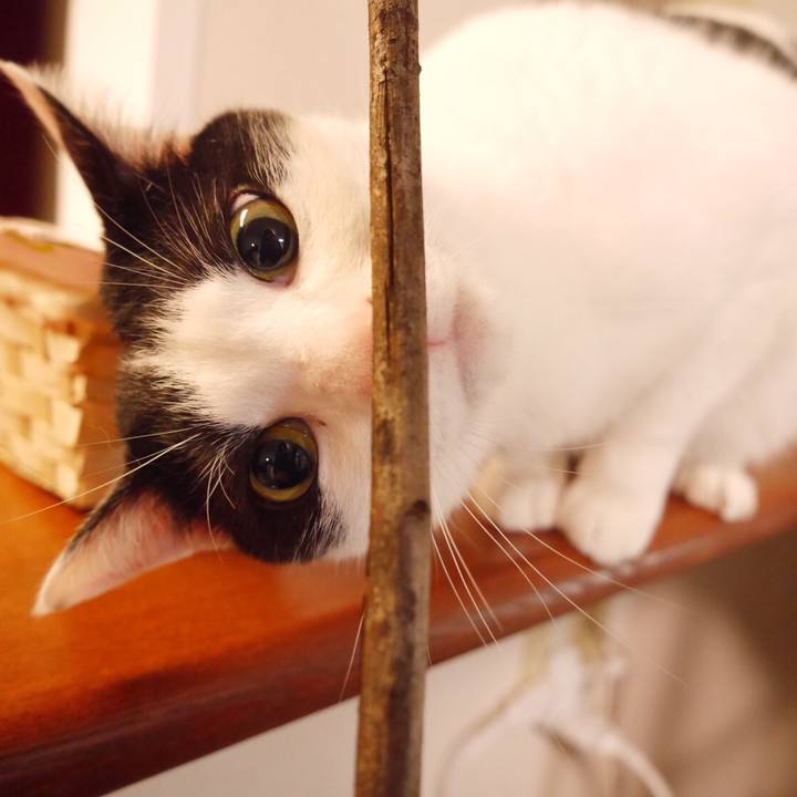 4e9451a7 5ed4 4e7a af4b cc5de7085bd9