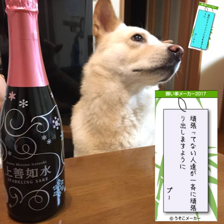 4e9451dd 14a0 4776 b65c 53f91b6e3164