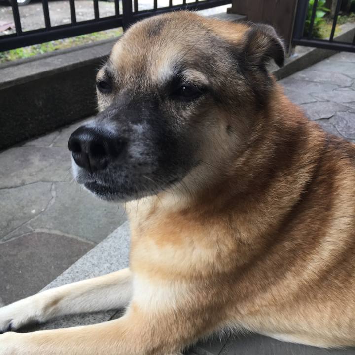 4e94e1e5 146d 4940 a5ea f7839a9f5cc9