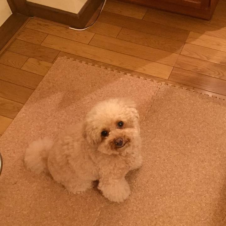 4e954142 4c26 4b16 89b1 d9e4184f51a7