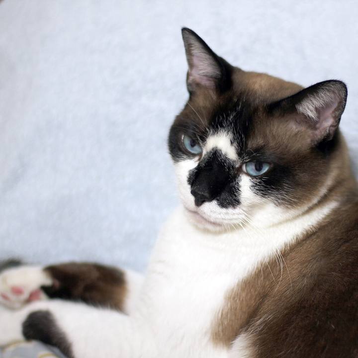 4e9570b3 54f7 40a0 a5d2 1e892825df0c