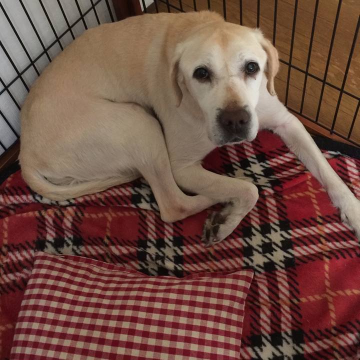 4e95a74c 00a2 4b75 b06c 150695eb4815