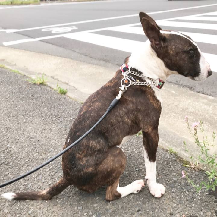 4e95c772 bd06 4acd b283 2d56cb5b3a43