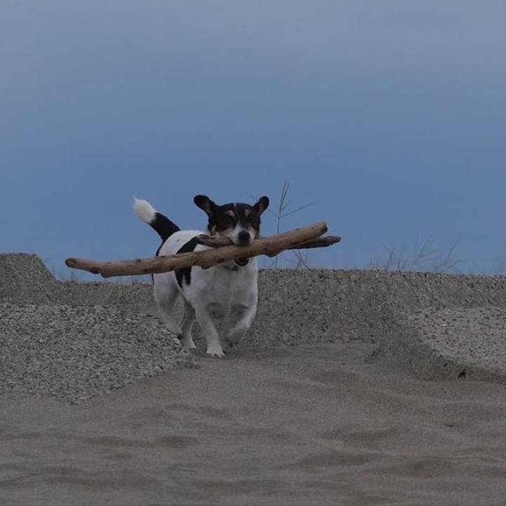 4e968213 ec52 4f20 a713 40cdb77648af