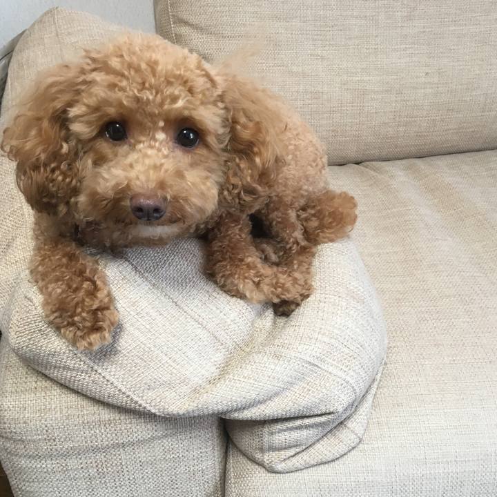 4e975436 1988 4498 b216 c9682bcc6036