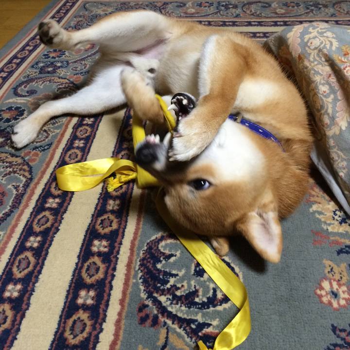 4e979054 e402 45e2 ac0d 56baeb6a8c88