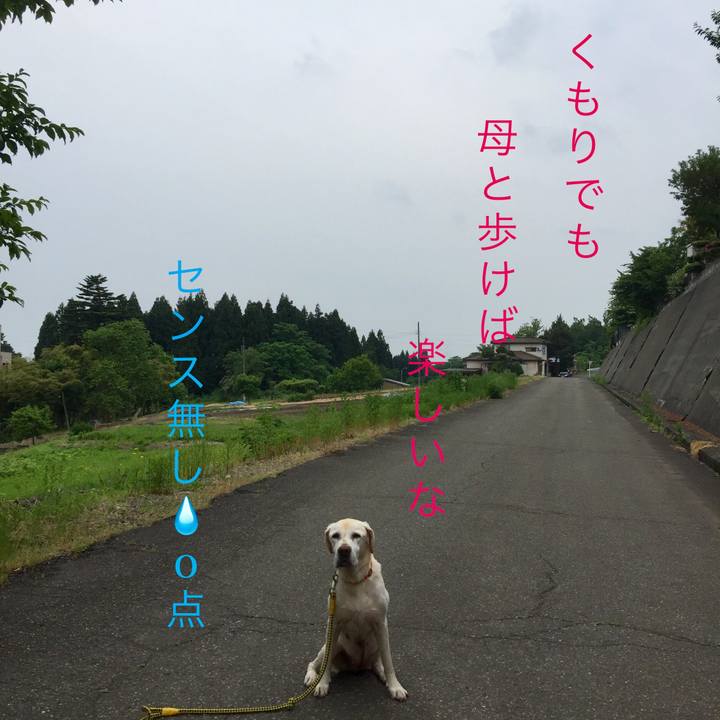 4e986651 78ca 48dc 98d7 03f0d7f29b61