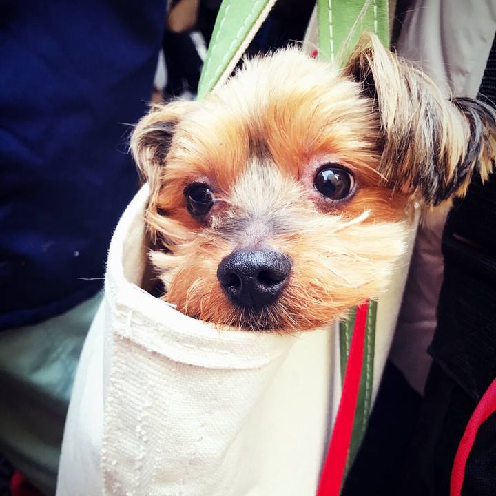 4e98a6c4 7233 4d4e ae3e 3983bb61afc8