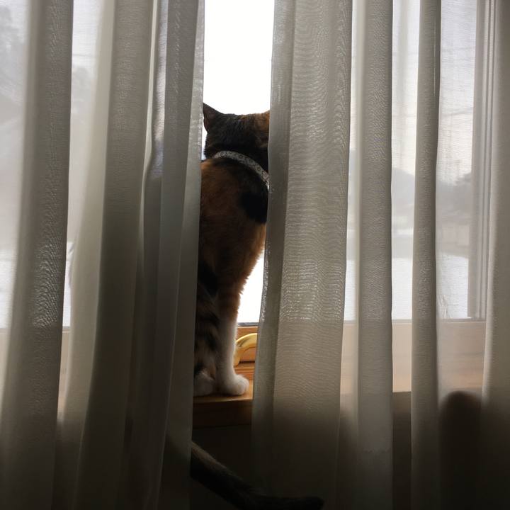 4e99c122 7607 4320 8b74 f713c2b4f5be