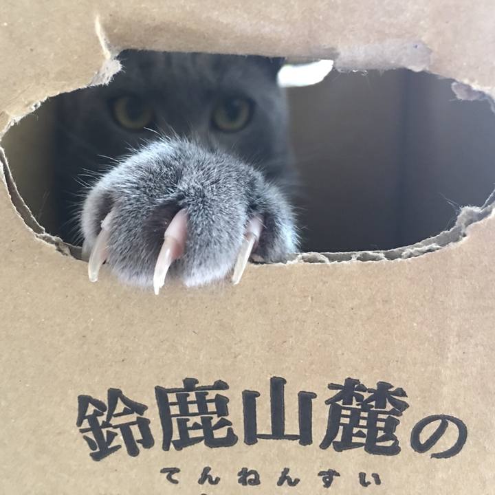 4e9a1782 7530 4661 ba21 a5e2f0d8d31d