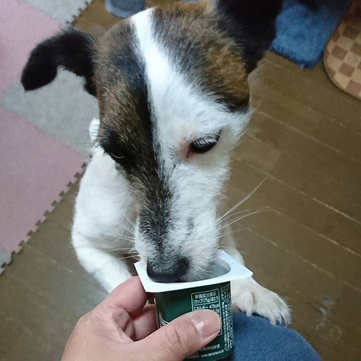 4e9ace6b e39c 4630 b3b5 aedac7afc8dd