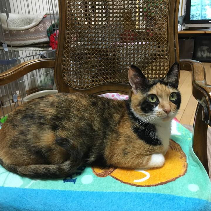 4e9b5a7f a6ce 4964 bb25 ab77a2f3f170