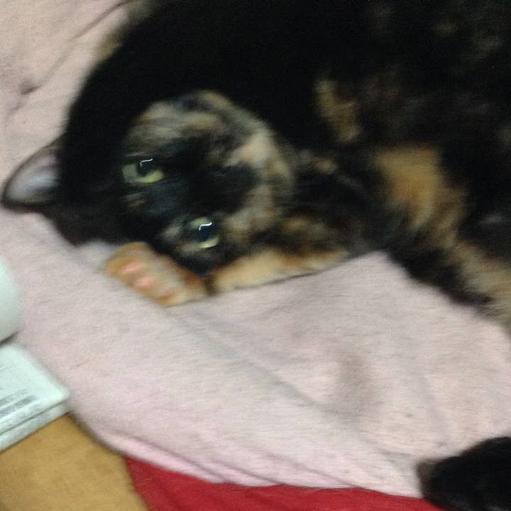 4e9b647e cef7 4e1c a286 f2599283325a