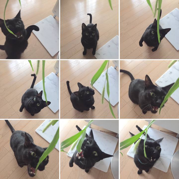 4e9ba135 106a 455c 9013 eea6ed79cf1f