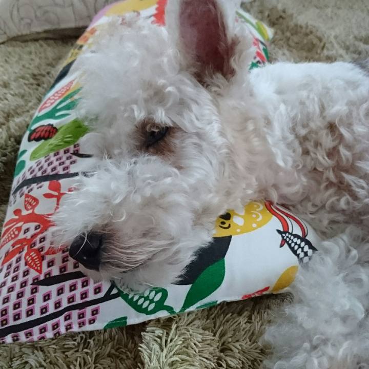 4e9cc3c6 c66e 4b7c b35a 4f8a2bafa259