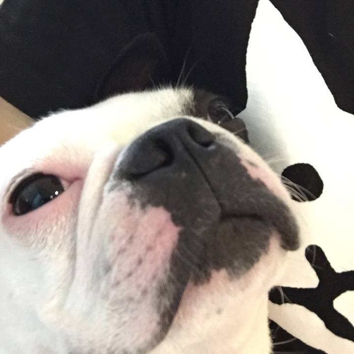 4e9ccf0d 82b0 4f24 aa4a ab9aaa5bd7fa