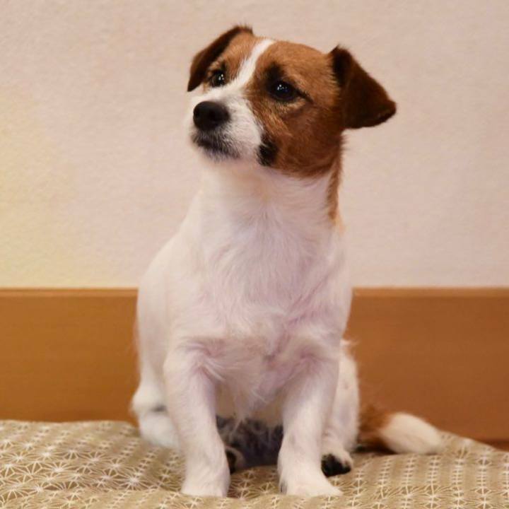 4e9d497d faff 497c 9751 d325e06c1791