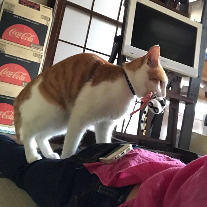 4e9d5c11 2d8b 4bc3 8780 4251c5493682