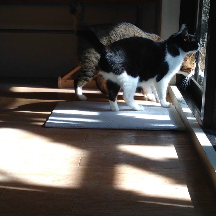 4e9e1506 f636 41b4 a1de 5653e44c4af6