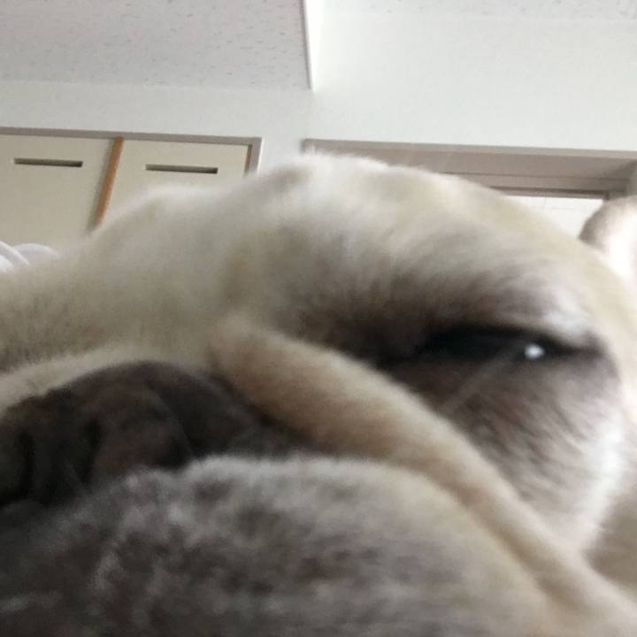 4e9ea566 9801 4ff7 b4cc 70943ece645e