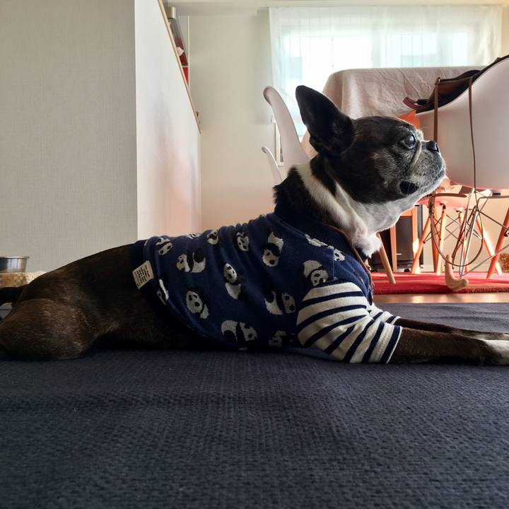 4e9ea6a5 73bd 483c b508 29d2c13b7936