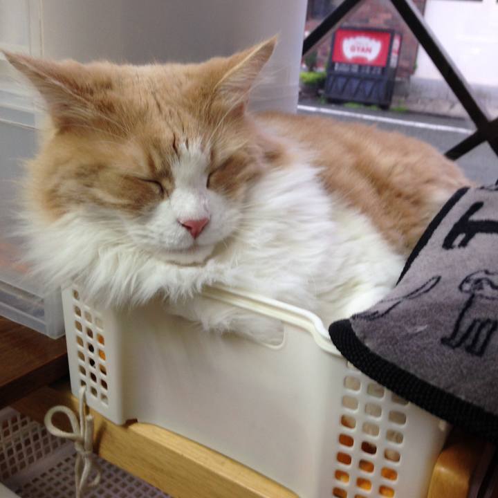 4e9eb95e dd18 4ec7 bb3c 188b75fdf79b