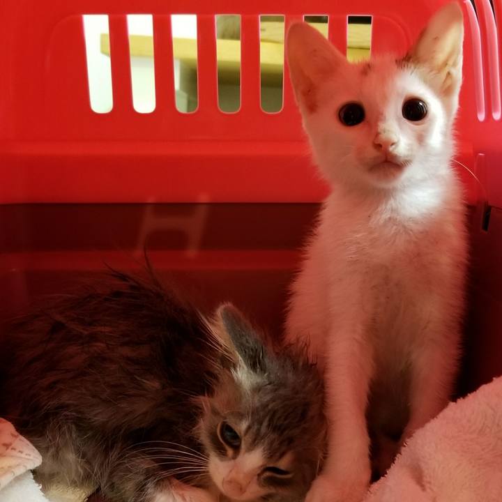 4e9ecd0c 31b9 4154 8914 296f057f7a47