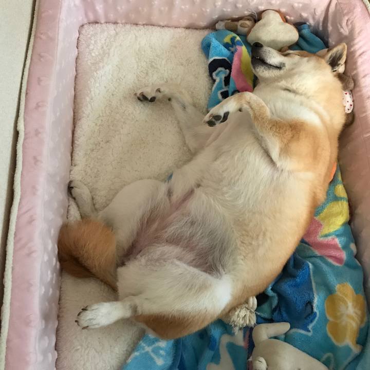 4e9fd42a 217b 4b5a a798 fc8ec18ce4c5