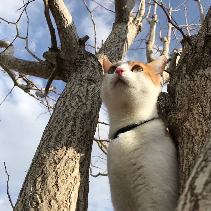 4e9ff966 bc5a 4e2a afd1 9f80600356e8