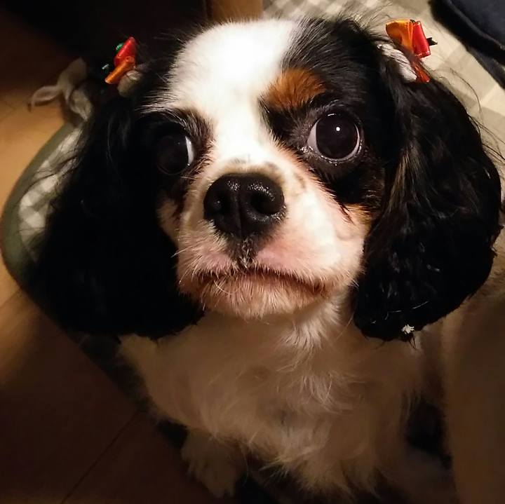 4ea033f4 dbef 4c24 9700 18badcad13c3