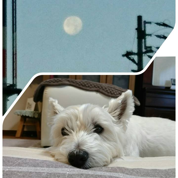 4ea0b708 b69b 4d30 9896 fed429b82807