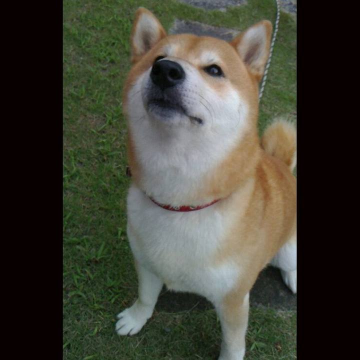 4ea0f32b d015 4cf6 b03a b0d9ab47bb0e