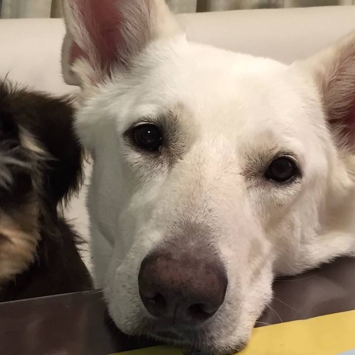 4ea0f9f3 6f28 48b6 92cf ab84d7ad06fe