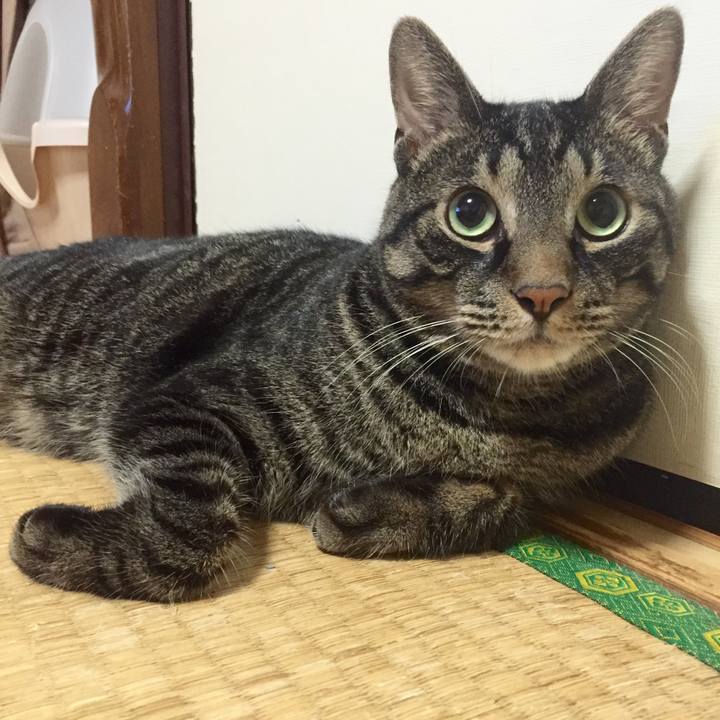 4ea1a6b2 9f32 4724 b507 82975e1e68a9