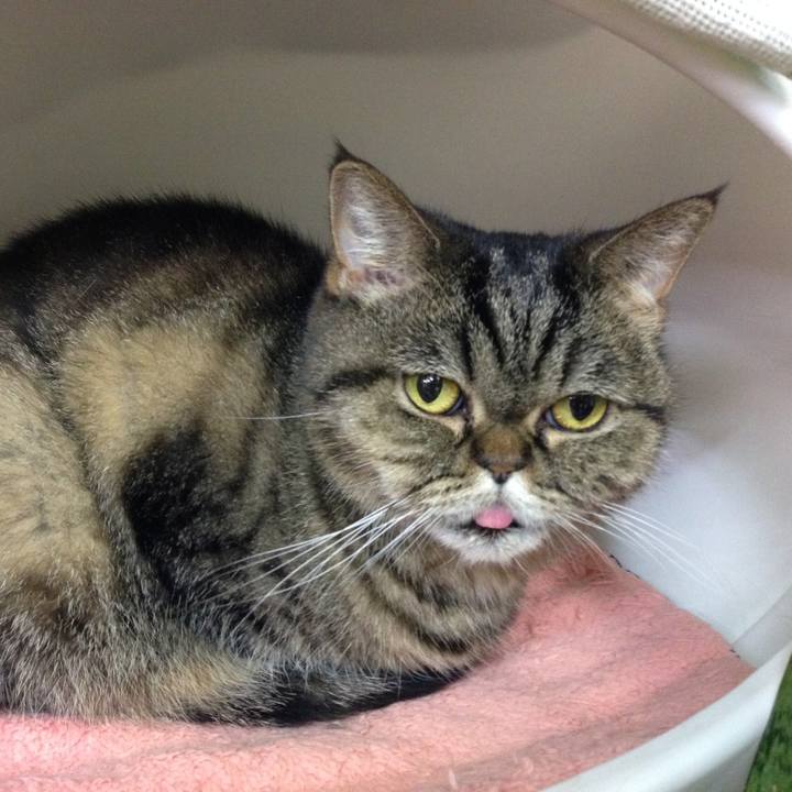 4ea1c89e b8c0 43bc a140 e7b57bf10847