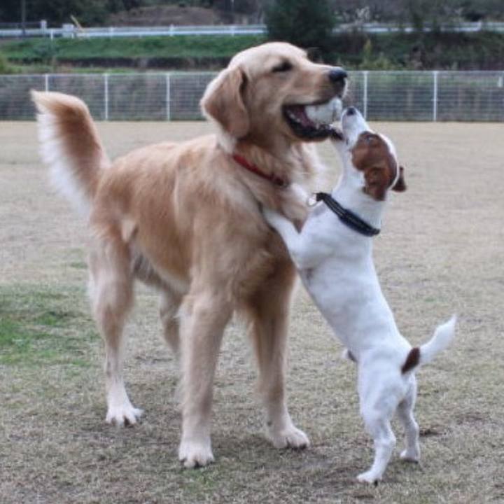 4ea2d8be a8a1 448c ad0f 76a8b4d427be