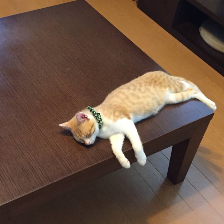 4ea39066 3b09 4b3f 827b 5e874585b3e1