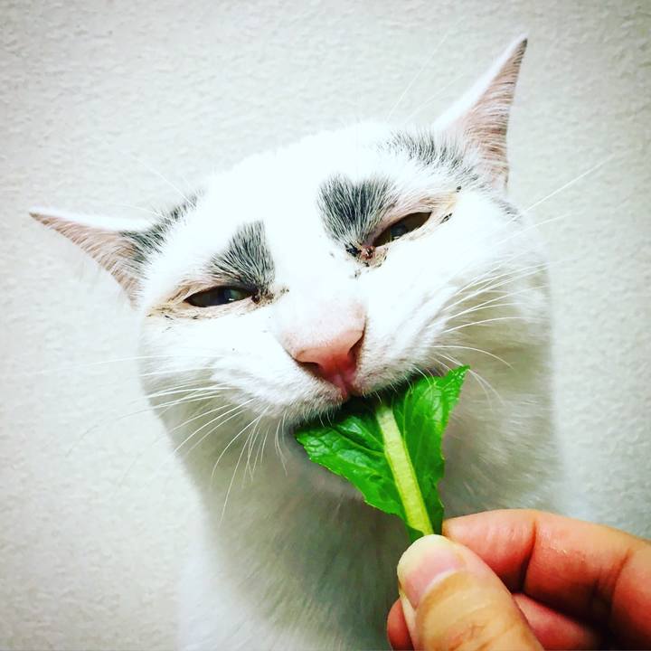 4ea3945d 2beb 4bdf 9091 16fcb633788f