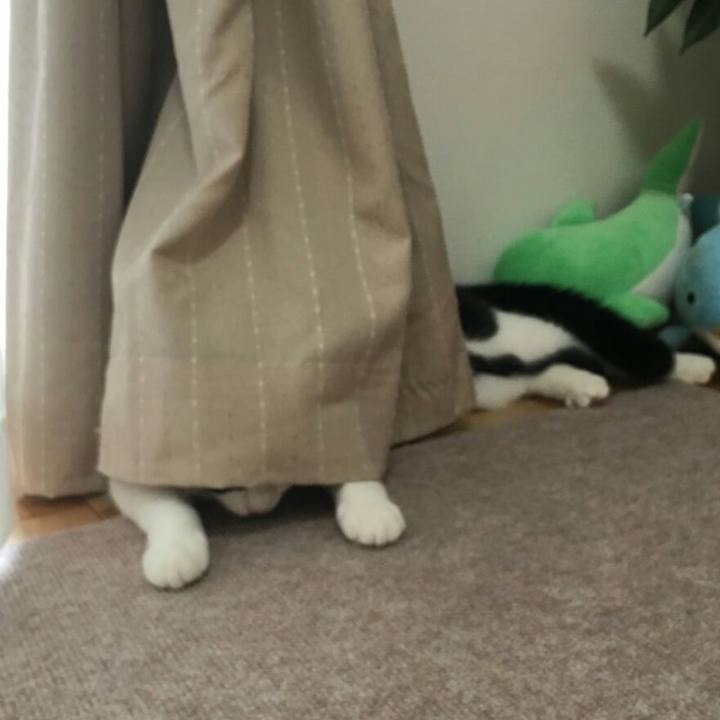 4ea3b4fe 7e77 476b a234 b77e081771bd