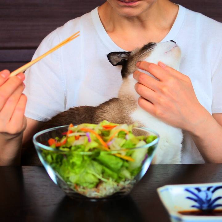 4ea4d9c5 f9e7 4da8 96ba a00b208d822d