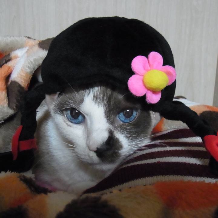 4ea61dd5 58d0 4f81 a0df 98874f892db2