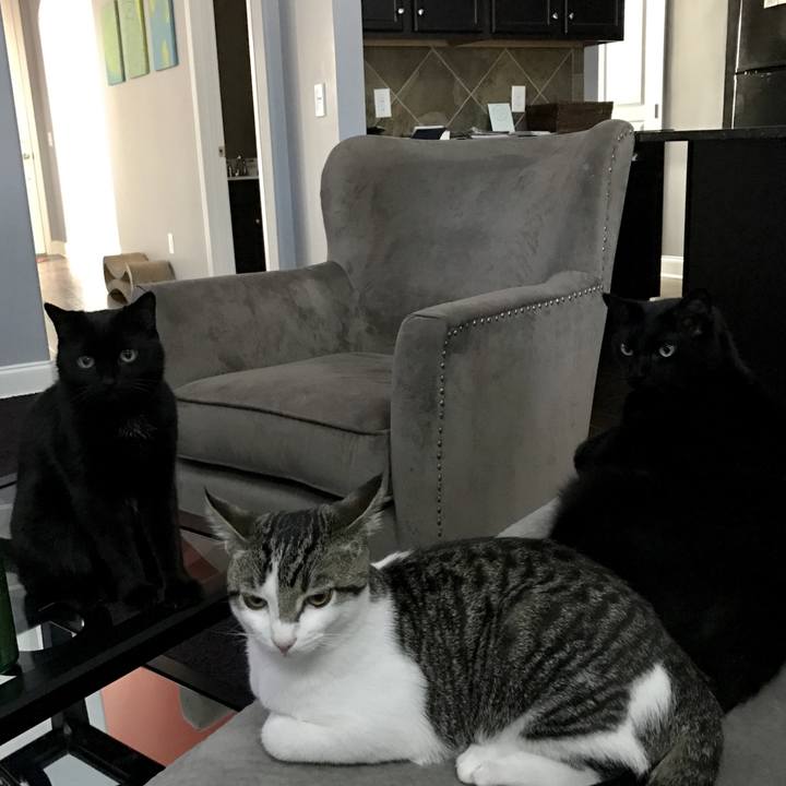 4ea6edd9 43e0 449c 8c04 84b11293a36d