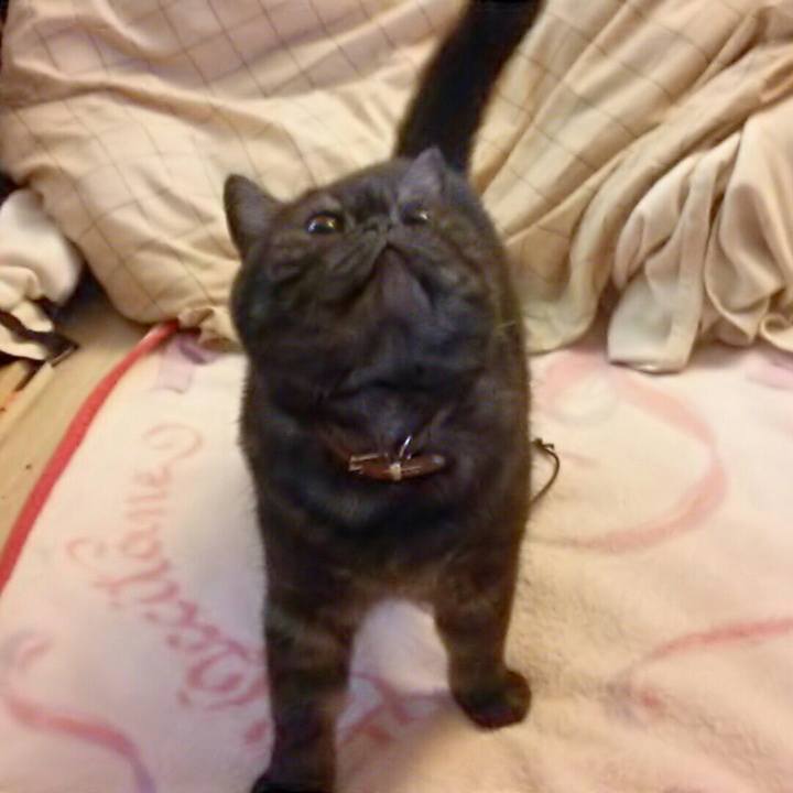 4ea87860 8308 4cbc bc7b 87cd37700cfa