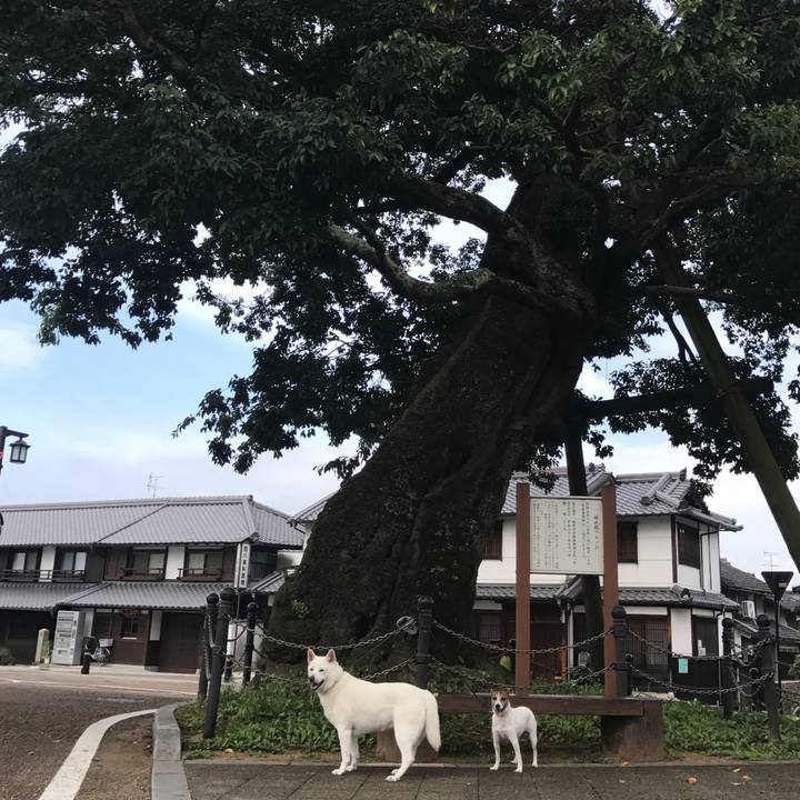 4ea892a9 fd3e 41a8 89d6 affcce067317