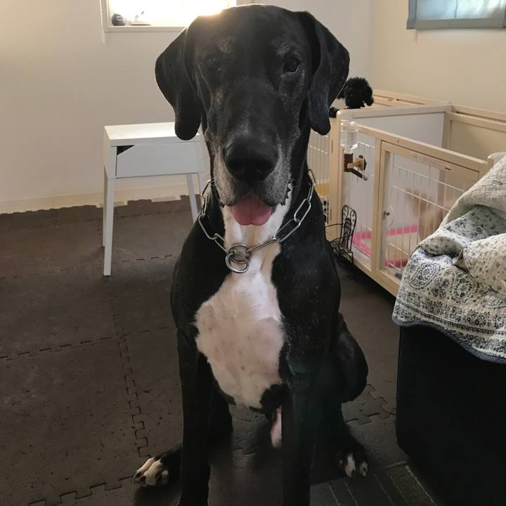 4ea89db5 b5d7 4d7c a72d 386e42bcfb61