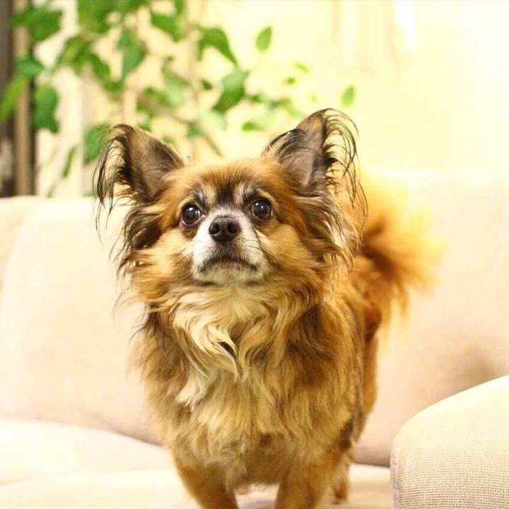 4ea8abf7 cb49 4397 8516 e3e08fd554db