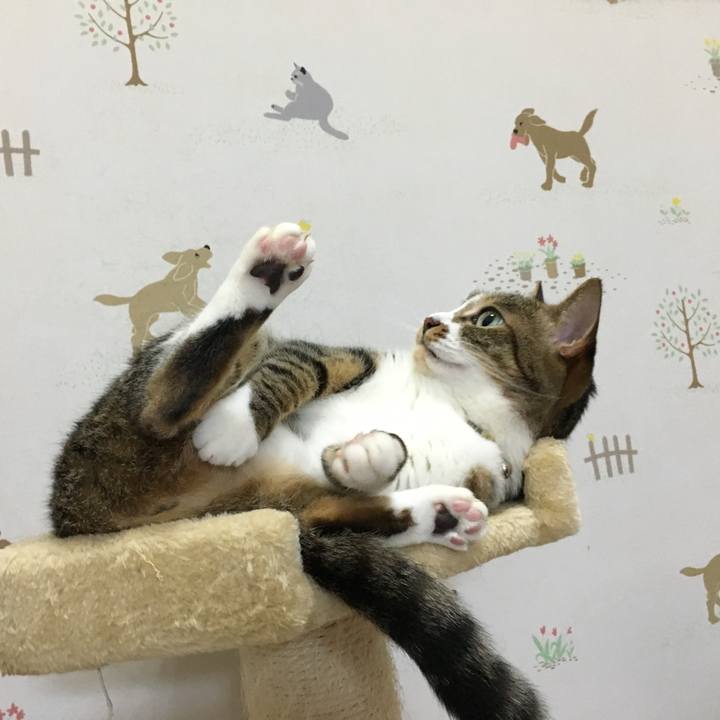 4ea92996 1acd 425c af38 859e36d9d905